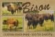 VACA Animales Vintage Tarjeta Postal CPSM #PBR835.A - Mucche