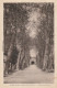 DE 18 -(40) NOTRE DAME DE BUGLOSE  -  L ' ALLEE DES MIRACLES   - 2 SCANS - Andere & Zonder Classificatie