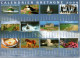 CALENDRIER. BRETAGNE. 2009.   Non Circulée. - Bretagne