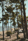 DE 20 -(40) LAC DE BISCAROSSE - PORT MAGUIDE - UN COIN DE PLAGE -  2 SCANS - Biscarrosse