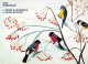 BIRD Animals Vintage Postcard CPSM #PAN229.GB - Birds