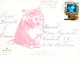 CAT KITTY Animals Vintage Postcard CPSM #PAM105.GB - Cats