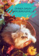 CAT KITTY Animals Vintage Postcard CPSM #PAM105.GB - Gatos