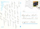 FLORES Vintage Tarjeta Postal CPSM #PAS208.ES - Blumen