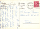 FLORES Vintage Tarjeta Postal CPSM #PAR005.ES - Blumen