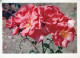 FLORES Vintage Tarjeta Postal CPSM #PAR427.ES - Blumen