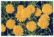 FLORES Vintage Tarjeta Postal CPSM #PAR186.ES - Blumen