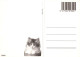 GATO GATITO Animales Vintage Tarjeta Postal CPSM Unposted #PAM354.ES - Katten