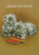 GATO GATITO Animales Vintage Tarjeta Postal CPSM #PAM290.ES - Katten