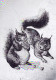 SQUIRREL Animals LENTICULAR 3D Vintage Postcard CPSM #PAZ159.GB - Otros & Sin Clasificación