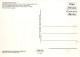 TREN TRANSPORTE Ferroviario Vintage Tarjeta Postal CPSM #PAA872.ES - Eisenbahnen