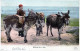 DONKEY Animals Children Vintage Antique Old CPA Postcard #PAA230.GB - Anes