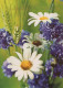 FLOWERS Vintage Postcard CPSM #PBZ796.GB - Blumen