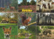 COW Animals Vintage Postcard CPSM #PBR799.GB - Cows
