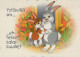 RABBIT Animals Vintage Postcard CPSM #PBR148.GB - Autres & Non Classés