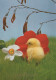 EASTER CHICKEN EGG Vintage Postcard CPSM #PBP162.GB - Easter