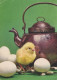 EASTER CHICKEN EGG Vintage Postcard CPSM #PBP101.GB - Easter