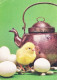 EASTER CHICKEN EGG Vintage Postcard CPSM #PBP101.GB - Easter