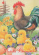 EASTER CHICKEN EGG Vintage Postcard CPSM #PBO783.GB - Easter