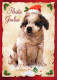 CHIEN Animaux Vintage Carte Postale CPSM #PAN545.FR - Dogs