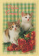 CHAT CHAT Animaux Vintage Carte Postale CPSM #PAM291.FR - Katten