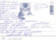 CHAT CHAT Animaux Vintage Carte Postale CPSM #PAM291.FR - Katten