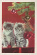 CHAT CHAT Animaux Vintage Carte Postale CPSM #PAM608.FR - Katten