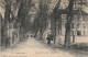 DE 7 -(34) CAPESTANG  - AVENUE PORTE ROY -  GENDARMERIE  - ANIMATION -  2 SCANS - Capestang