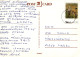 CONEJO Animales LENTICULAR 3D Vintage Tarjeta Postal CPSM #PAZ162.ES - Otros & Sin Clasificación
