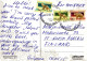 FLORES Vintage Tarjeta Postal CPSM #PBZ195.ES - Flowers