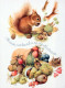ARDILLA Animales Vintage Tarjeta Postal CPSM #PBS718.ES - Autres & Non Classés