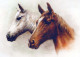 CABALLO Animales Vintage Tarjeta Postal CPSM #PBR867.ES - Pferde