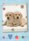 PERRO Animales Vintage Tarjeta Postal CPSM #PBQ569.ES - Honden