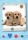 PERRO Animales Vintage Tarjeta Postal CPSM #PBQ569.ES - Honden