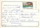 FLOWERS Vintage Ansichtskarte Postkarte CPSM #PAS030.DE - Fleurs