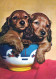 HUND Tier Vintage Ansichtskarte Postkarte CPSM #PAN611.DE - Dogs