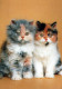 KATZE MIEZEKATZE Tier Vintage Ansichtskarte Postkarte CPSM #PAM292.DE - Katten