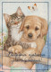 HUND UND KATZETier Vintage Ansichtskarte Postkarte CPSM #PAM046.DE - Dogs