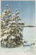 Bonne Année Noël Vintage Carte Postale CPSMPF #PKG275.FR - Nouvel An