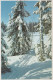 Bonne Année Noël Vintage Carte Postale CPSMPF #PKG215.FR - Nouvel An