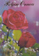 FLEURS Vintage Carte Postale CPSM #PBZ556.FR - Flowers