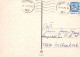 PÂQUES LAPIN Vintage Carte Postale CPSM #PBO537.FR - Easter