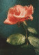 FIORI Vintage Cartolina CPSM #PAS211.IT - Flowers