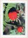 FIORI Vintage Cartolina CPSM #PAS695.IT - Flores