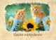 GATTO KITTY Animale Vintage Cartolina CPSM #PAM420.IT - Chats