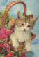 GATTO KITTY Animale Vintage Cartolina CPSM #PAM109.IT - Katten