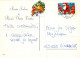 BABBO NATALE Animale Natale Vintage Cartolina CPSM #PAK503.IT - Kerstman