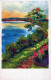FLOWERS Vintage Ansichtskarte Postkarte CPSMPF #PKG035.DE - Fleurs