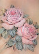 FLOWERS Vintage Ansichtskarte Postkarte CPSM #PBZ437.DE - Blumen