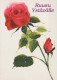FLOWERS Vintage Ansichtskarte Postkarte CPSM #PBZ497.DE - Blumen
